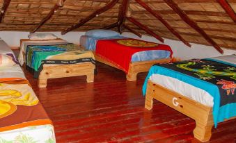 Hostel la Ballena Backpacker