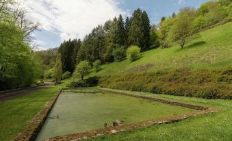 Magnificent Manor in Vresse-Sur-Semois with Sauna