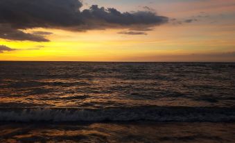 Surf Theori Resort