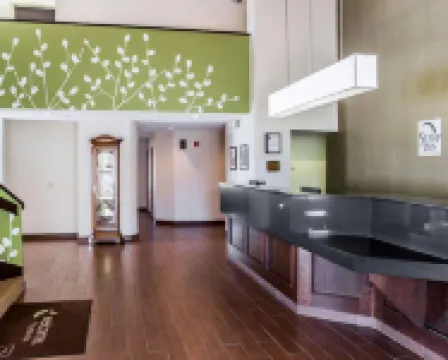 سلييب إن فايتفيل آي 95
