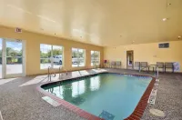 Super 8 by Wyndham San Antonio/Alamodome Area - Kolam Renang