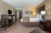 Comfort Inn Near Downtown & Blue Ridge Pkwy Hotels in Marion