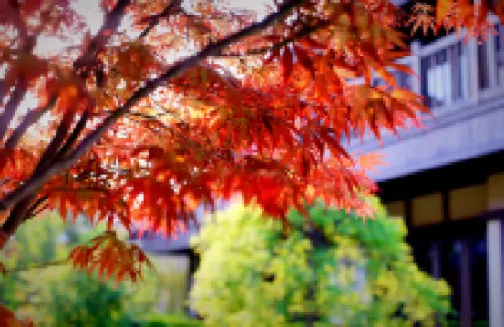 Chunzi Apartment (Wuzhen Avenue No. 1)