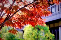 Chunzi Apartment (Wuzhen Avenue No. 1)