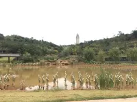 Kaiyuan Xiangjiang Xiaowu (Xiangyun Road) Hotel a Kaiyuan