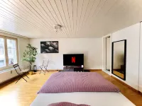 Newly Furnished Beautiful Old Building Apartment in the Center with Apple TV O1 Hôtels à : Gaiserwald