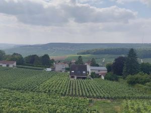 Maison au Coeur du Vignoble Champenois