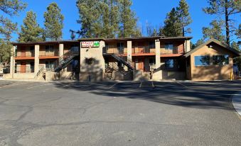 Motel in the Pines