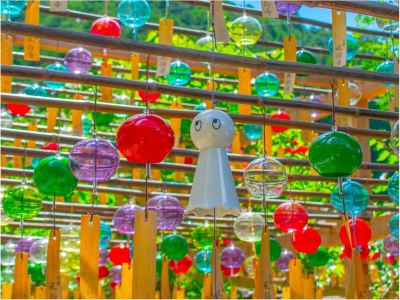 その他 サンメンバーズ京都嵯峨の写真