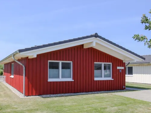 Strandkrabbe