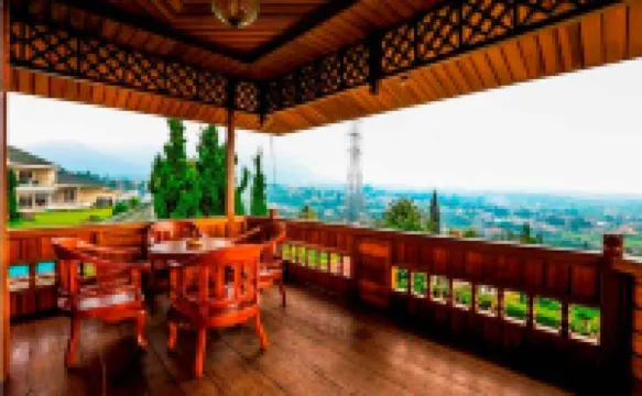 The Anty Resort