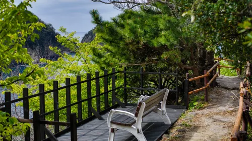 Shizentenyu Hotels in Kamo District