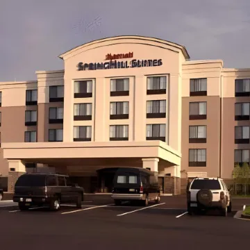 SpringHill Suites Wheeling Triadelphia Area