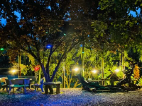 Forest Side Ecolodge Hotels in 