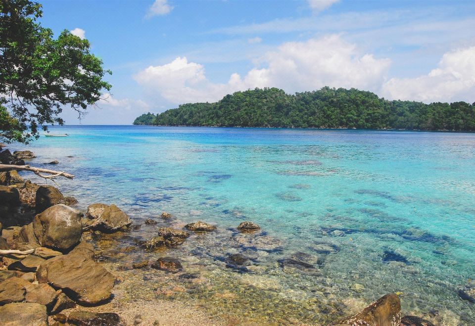 4. 레드도어즈 샤리..