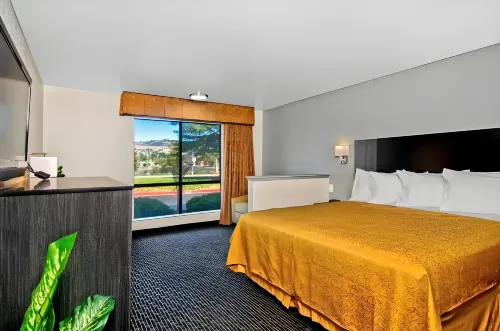 Quality Inn & Suites South San Jose - Morgan Hill Hotels in San Martin