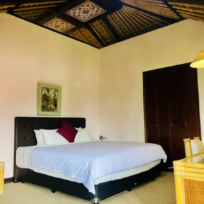 Buyan Resort Hotel dekat Air Terjun Gitgit
