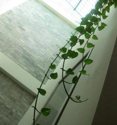Skinny May's Homestay_4