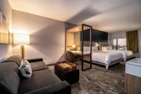 SpringHill Suites Oakland Airport Hotels in Oakland