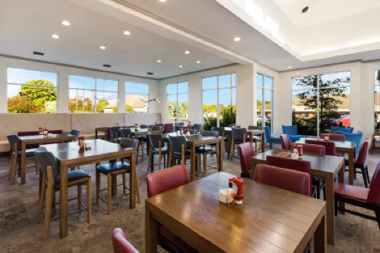 Hilton Garden Inn Columbus/Grove City Отели в г. Гров Сити
