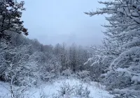 Valley Overlook, heart of Cuyahoga Valley National Park - Cabin for 4