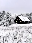 Stay near Jay Peak at your own private cabin with 18 brookside acres!