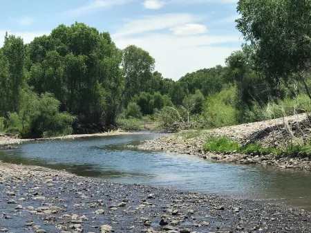 Gila Vintage Airstream RV- pet friendly