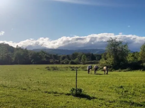 Camp under Blue Ridge Mtn sky river A Frame Cabin