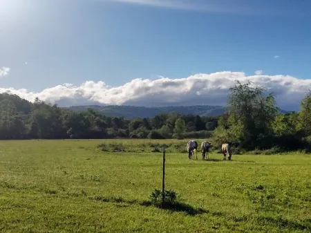 Camp under Blue Ridge Mtn sky river A Frame Cabin