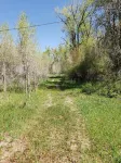 Needle Rock Cabin on 80 acres!
