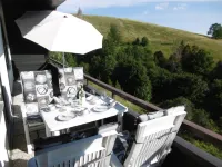 Large vacation apartment with 180-degree views of the mountains