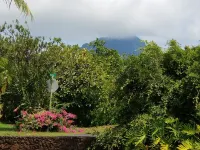 Bayview, Poipu, Koloa Hawaii "Torview" Air conditioned