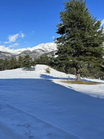 Mercantour retreat in a serene private 12.5 acres of land Отели в г. Шатонёф-Грас