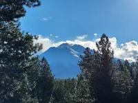 Mountain Breeze - Pet Friendly Read Our Reviews