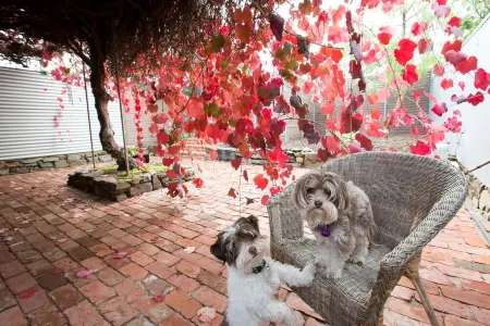 Open Fire and Spa Bath Indulgent and Luxury Villa Отели рядом с достопримечательностью «Солджерс Мемориал Гарденс»