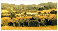 Tuscan village in SIena. farmhouse surrounded by garden,pool and panoramic view