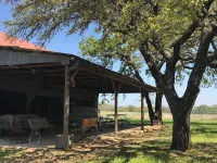 Escape the city life; minutes from local vineyards; private hot tub; sleeps 6 Hotels near Lyndon B. Johnson National Historical Park