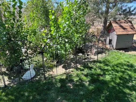 Family Farm Bunkhouse with a View Отели в г. Чилкут-Винтон