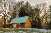 Bonnie's Private City Cabin-Madison's Only Log Cabin Rental - Homestays