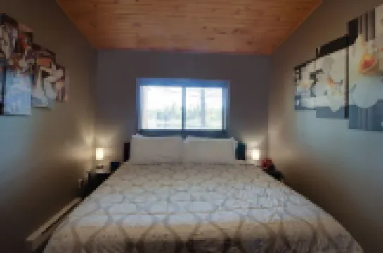 Private Hot Tub! KING Size Bed Traverse City 18 miles *Crystal Mountain 17 miles