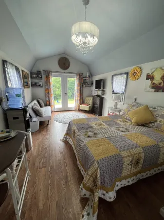 Star glazing Tiny house off grid peaceful Stone Mountain State Park and Fire pit