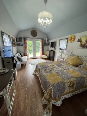 Star glazing Tiny house off grid peaceful Stone Mountain State Park and Fire pit Hotel a Traphill