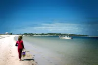 Luxury WATERFRONT condo overlooking pool, 5 mins to Dog Island, FREE boat slip.