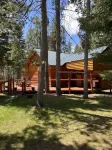 Adorable 2-bedroom with guest house. Các khách sạn gần Upper Mesa Falls