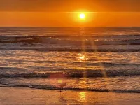 Direct Oceanfront No Drive Beach Stunning Sunrises. Heated Pool Great Restaurant