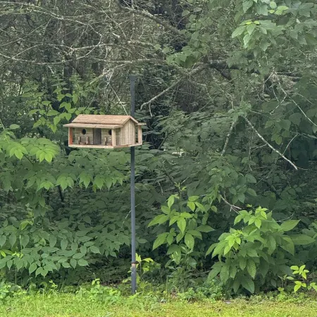 Peaceful and Safe! Pet Friendly!