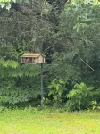Peaceful and Safe! Pet Friendly!