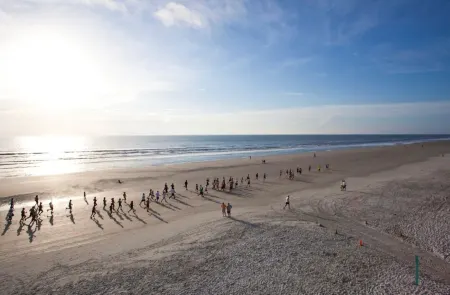 5 Bdrm 4 Bath Ocean View Home Located on North Beach Nsb! Отели рядом с достопримечательностью «Marine Discovery Center»