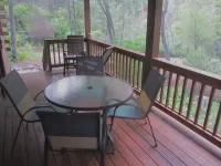 Cozy streamfront cabin nestled in the pines