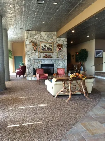 Beary Loveable SugarTop